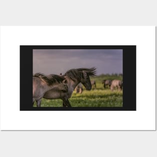 Wild Horses Posters and Art